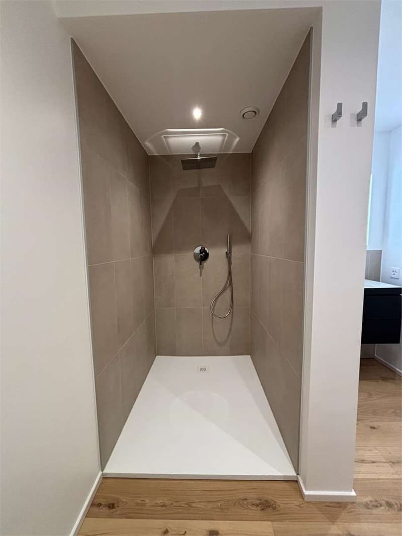 Paradise apartment 2.5 rooms renovated with lake view (7)
