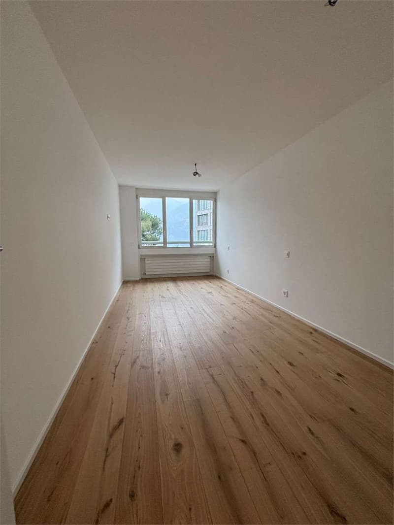 Paradise apartment 2.5 rooms renovated with lake view (3)
