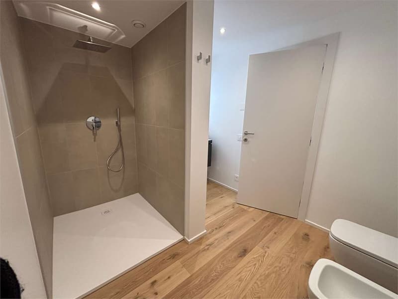 Paradise apartment 2.5 rooms renovated with lake view (6)