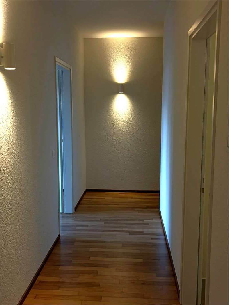 Bel appartement 5,5 pièces avec terrasse à Gentilino (11)