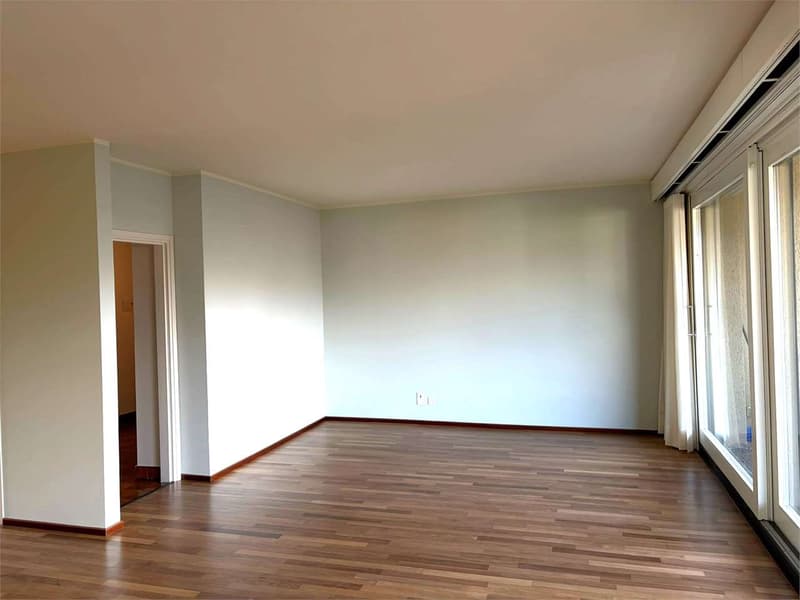 Bel appartement 5,5 pièces avec terrasse à Gentilino (13)