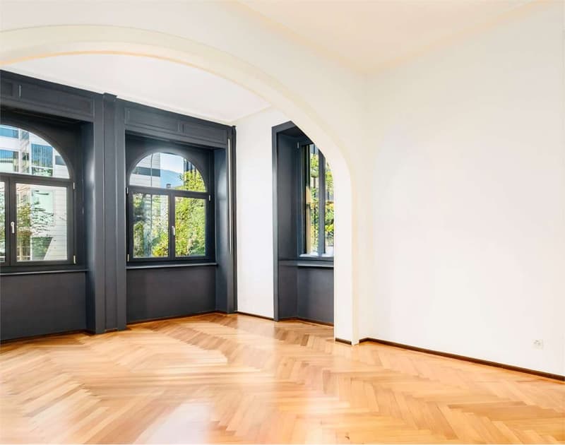 Elegant 4.5-room apartment in the city center (2)