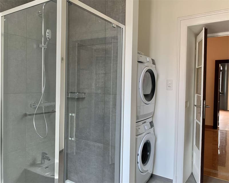 Elegant 4.5-room apartment in the city center (9)