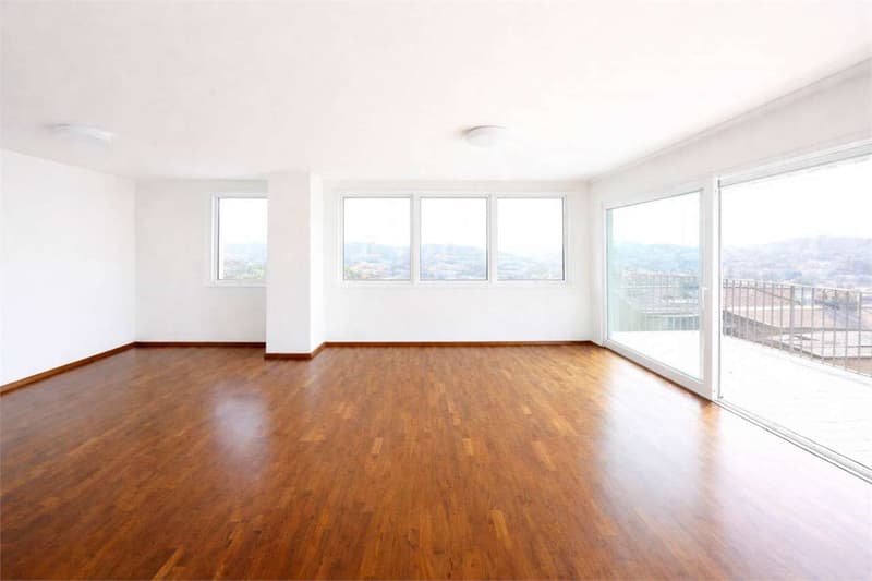 CONFORTEVOLE E AMPIO APPARTAMENTO CON TERRAZZO E VISTA (3)