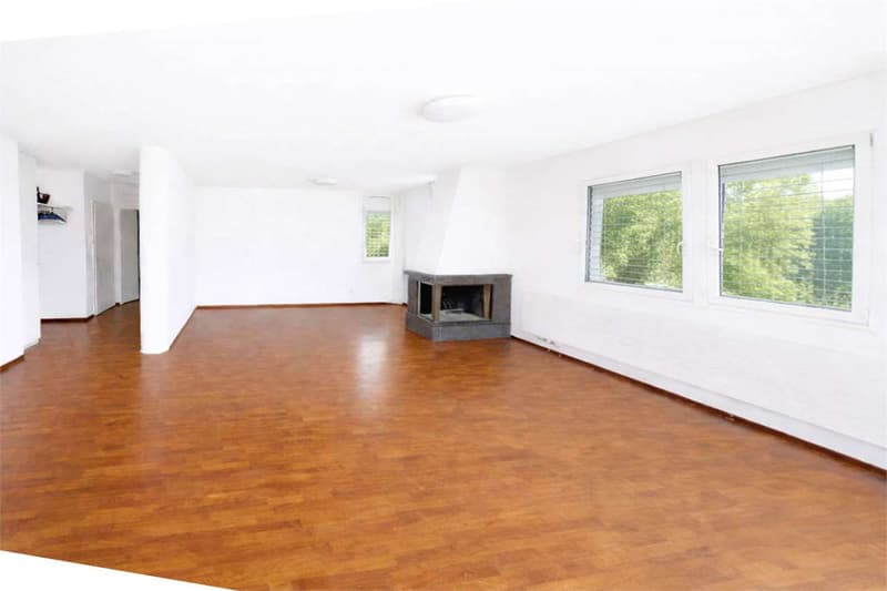 CONFORTEVOLE E AMPIO APPARTAMENTO CON TERRAZZO E VISTA (4)