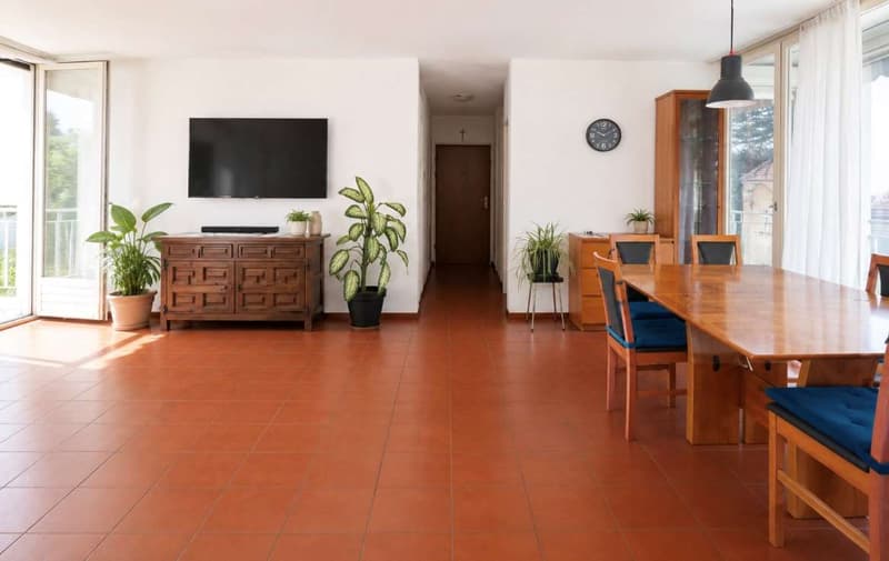 Appartement mit schöner Terrasse, nahe bei den Dienstleistungen (1)