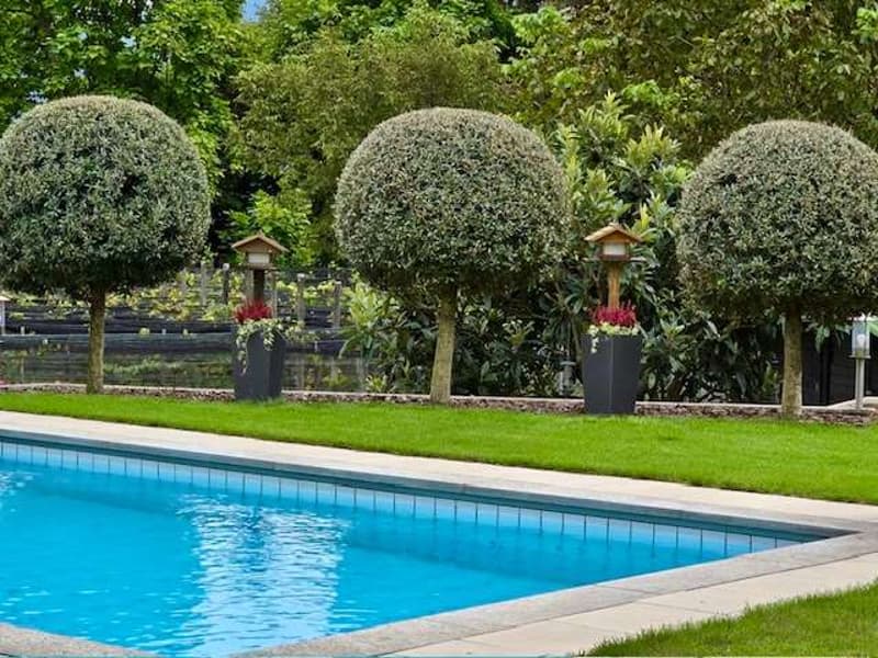 Exklusive Villa mit Pool und Garten im Herzen von Pura (9)