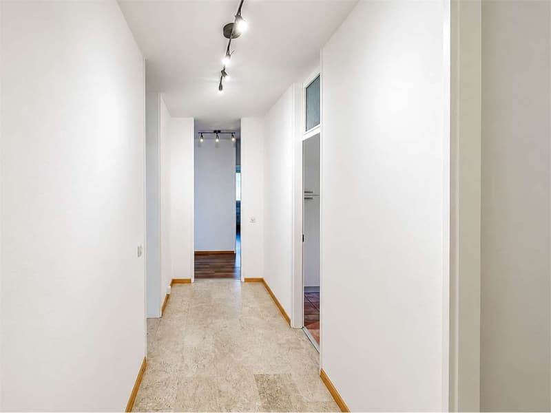 Spazioso 4.5 locali vicino a scuole, Università e centro città (7)