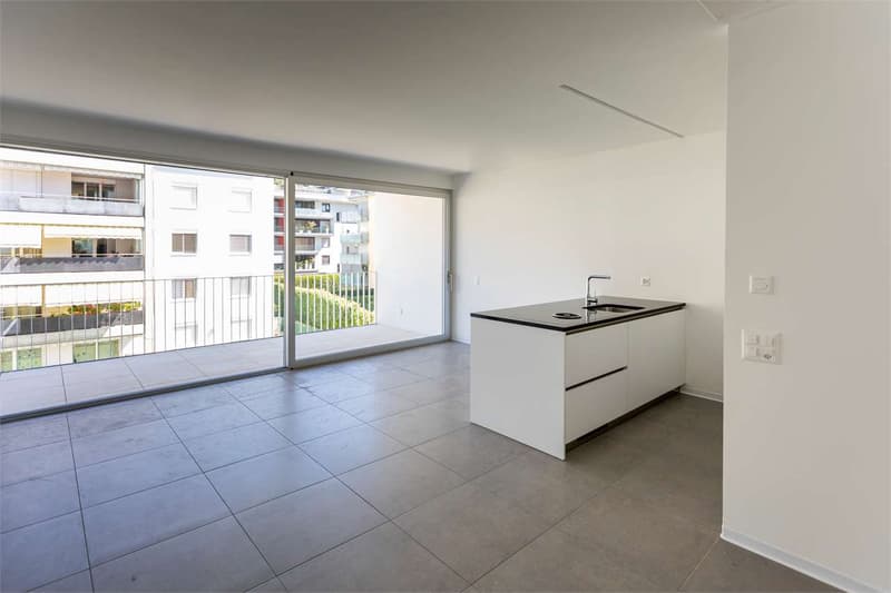 Exclusive high-end apartments in Ascona (3)