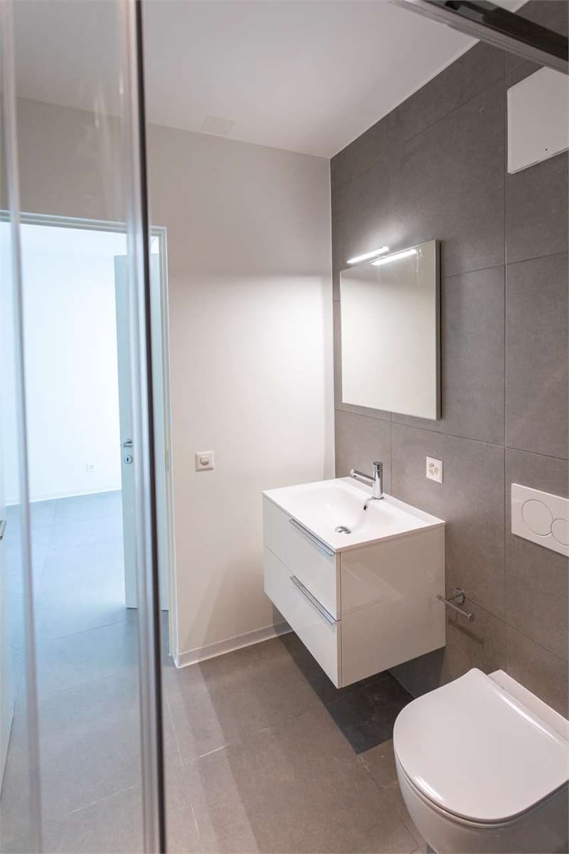 Exclusive high-end apartments in Ascona (11)