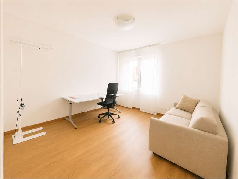 Lugano via Nassa prestigioso ufficio (10)
