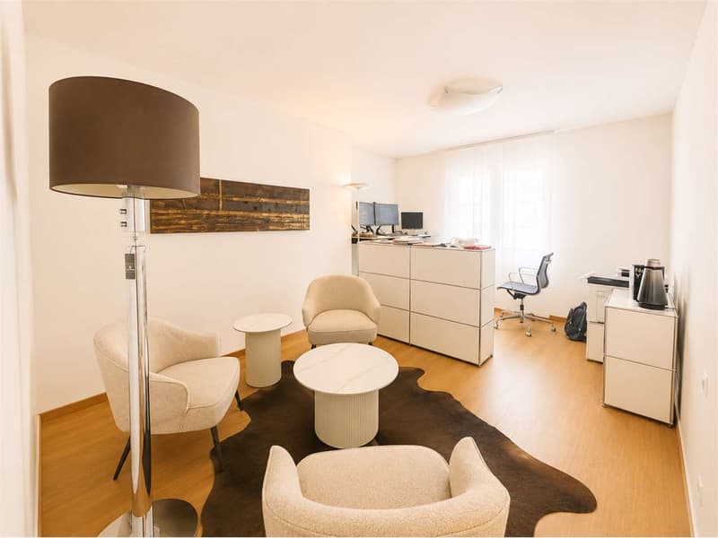 Lugano via Nassa prestigioso ufficio (9)
