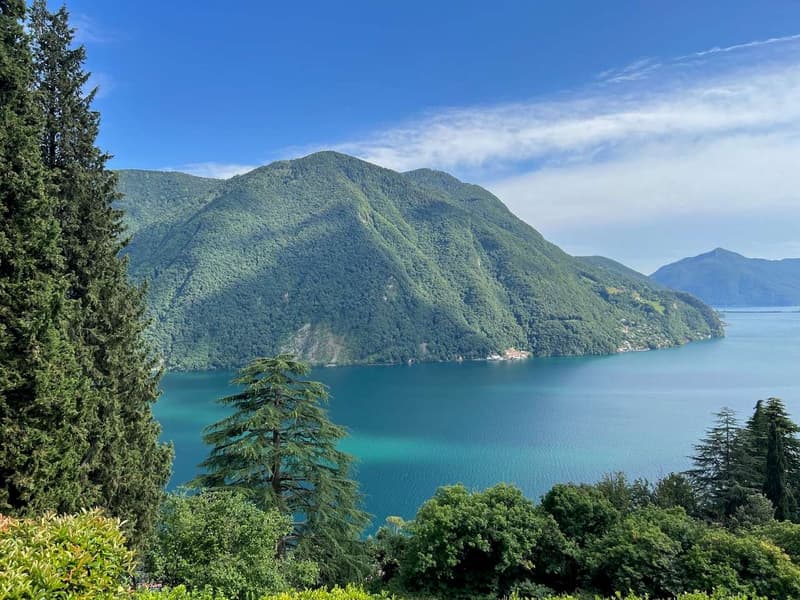 Splendide duplex 4,5 pièces avec vue sur le lac (4)
