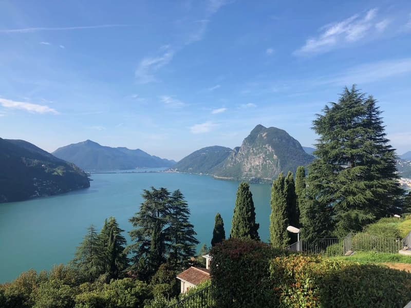 Splendide duplex 4,5 pièces avec vue sur le lac (5)