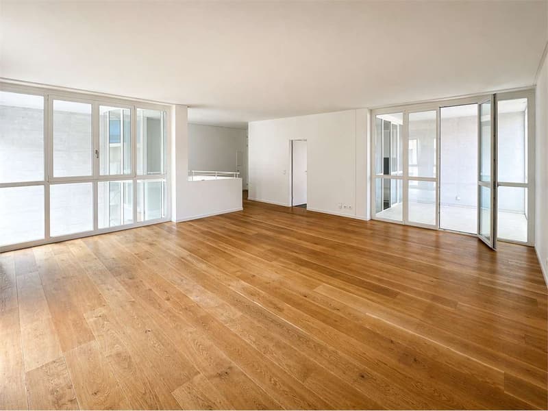 Exklusives 4.5-Zimmer-Duplex im Herzen von Cassarate (3)