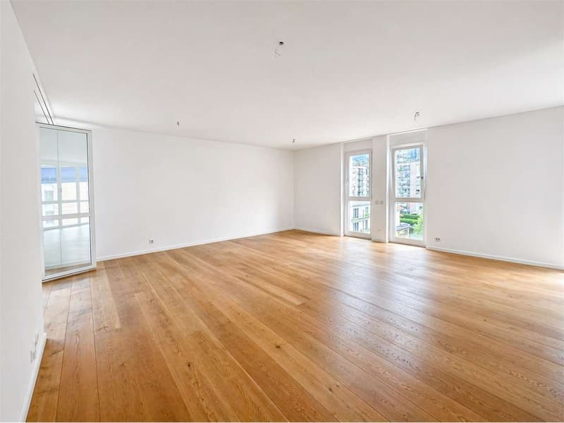 Exklusives 4.5-Zimmer-Duplex im Herzen von Cassarate (2)