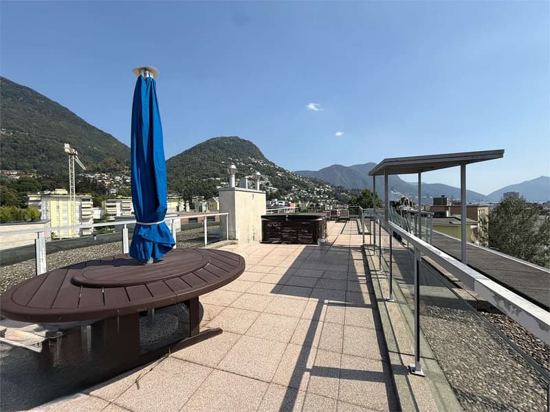 Attico moderno di 4,5 locali ammobiliato con vasto spazio esterno e ro (1)