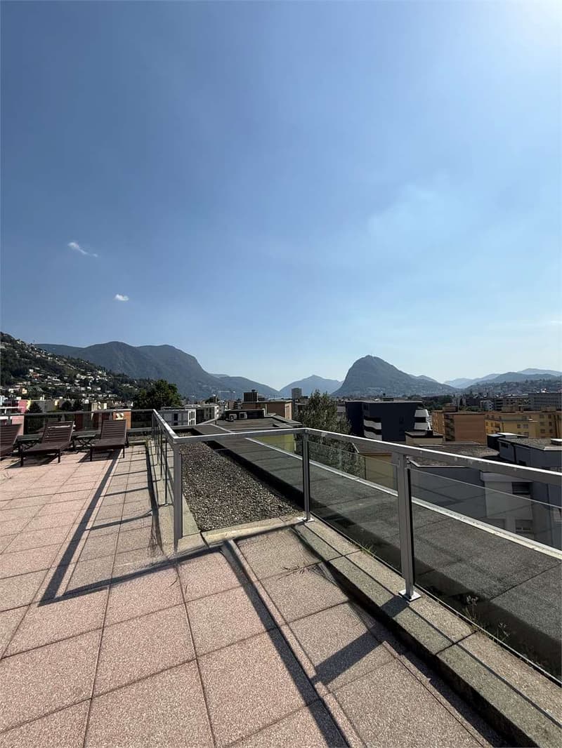 Attico moderno di 4,5 locali ammobiliato con vasto spazio esterno e ro (2)