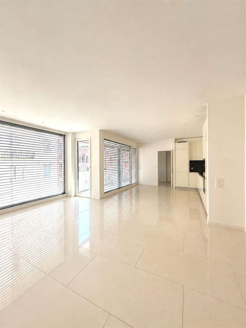 Appartamento moderno di 3.5 locali con balcone in affitto a due passi (2)