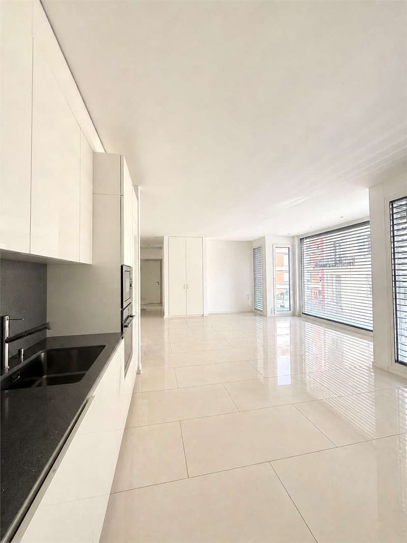 Appartamento moderno di 3.5 locali con balcone in affitto a due passi (1)