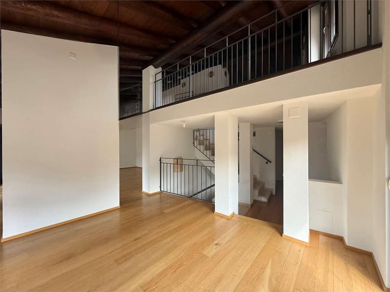 Appartamento attico di 5,5 locali con terrazzo e giardino privato ad O (5)