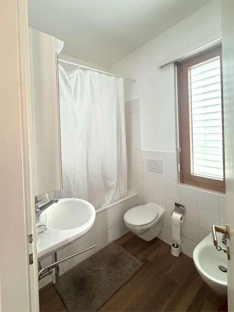 Elegante appartamento rinnovato di 2,5 locali con balcone e parziale v (5)