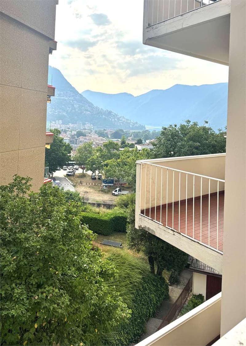 Elegante appartamento rinnovato di 2,5 locali con balcone e parziale v (4)