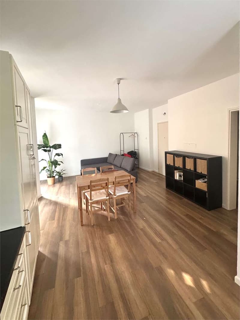 Elegante appartamento rinnovato di 2,5 locali con balcone e parziale v (2)