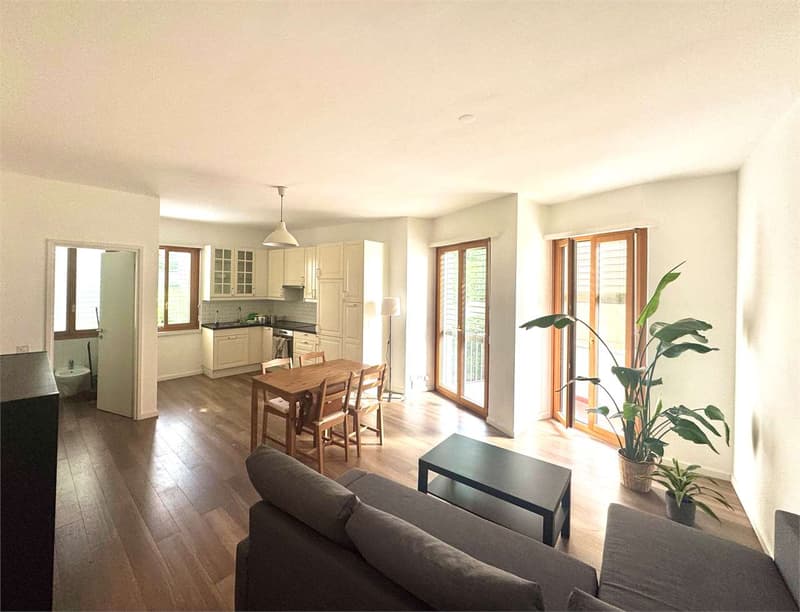 Elegante appartamento rinnovato di 2,5 locali con balcone e parziale v (1)