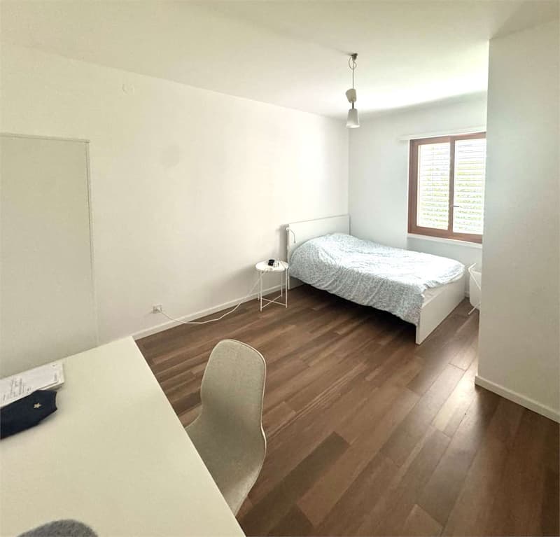 Elegante appartamento rinnovato di 2,5 locali con balcone e parziale v (3)