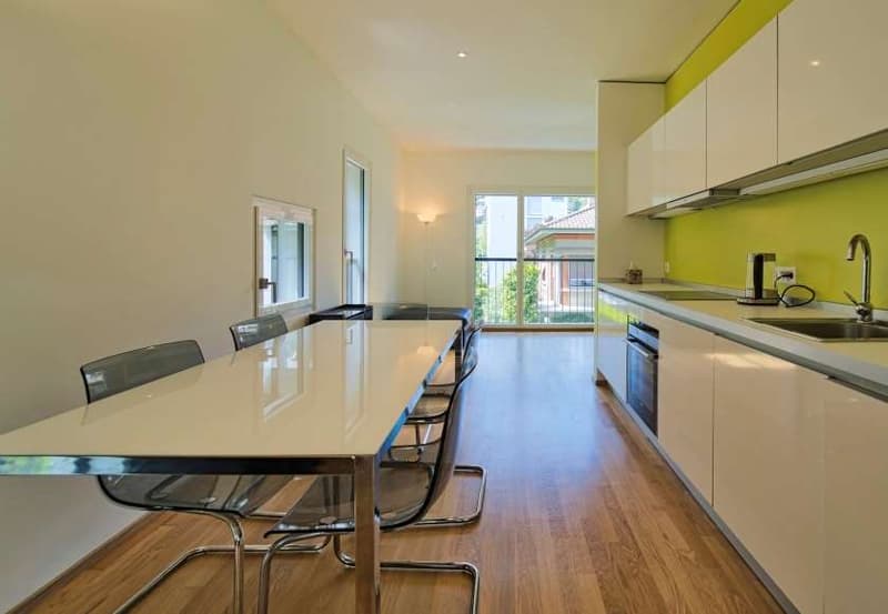 In affitto a Lugano centro, loft ammobiliato con veranda (4)