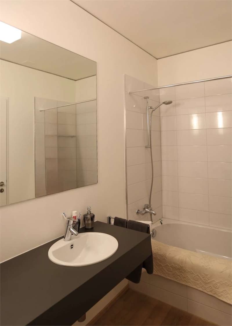 In affitto a Lugano centro, loft ammobiliato con veranda (5)