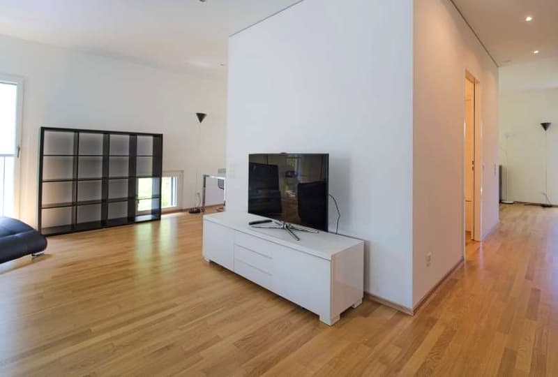 In affitto a Lugano centro, loft ammobiliato con veranda (3)