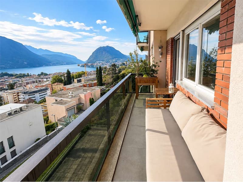 VISTA LAGO E TRANQUILLITÀ - 3.5 LOCALI (3)