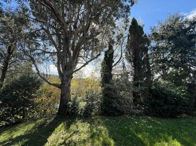 Villa indipendente con ampio parco privato a Ponte Capriasca (6)