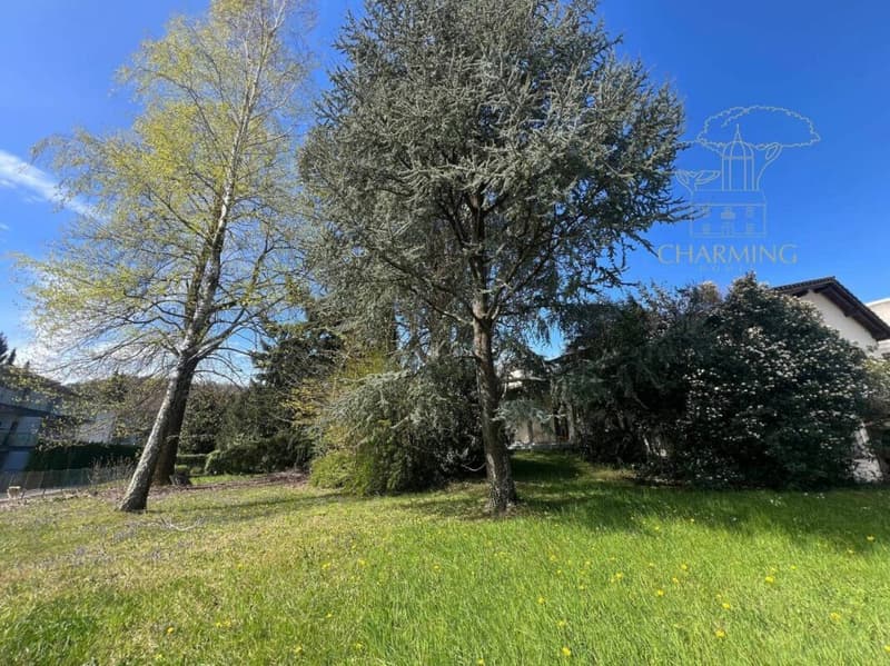 Villa mit Grossem Baulandgrundstück im Herzen von Ponte Capriasca (2)