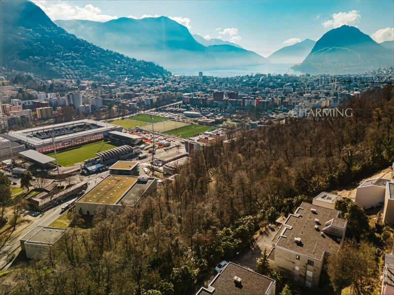 Attico Panoramico a Porza (3)