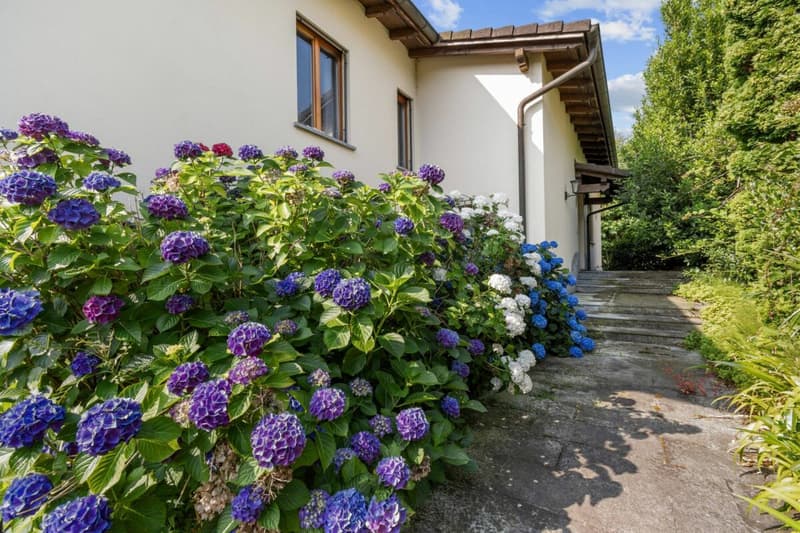 Villa indipendente con ampio Giardino privato (7)