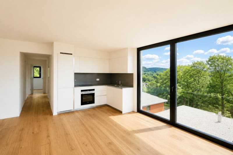Pura - Elegante attico di 4.5 locali con ampia terrazza coperta e vista lago (3)