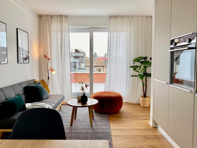 Traumhafte 1.5 Zimmer Attika Wohnung in Basel Stadt (2)