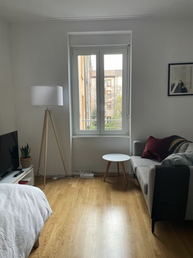 New, modern 1.5 room apartments in Basel City (2)
