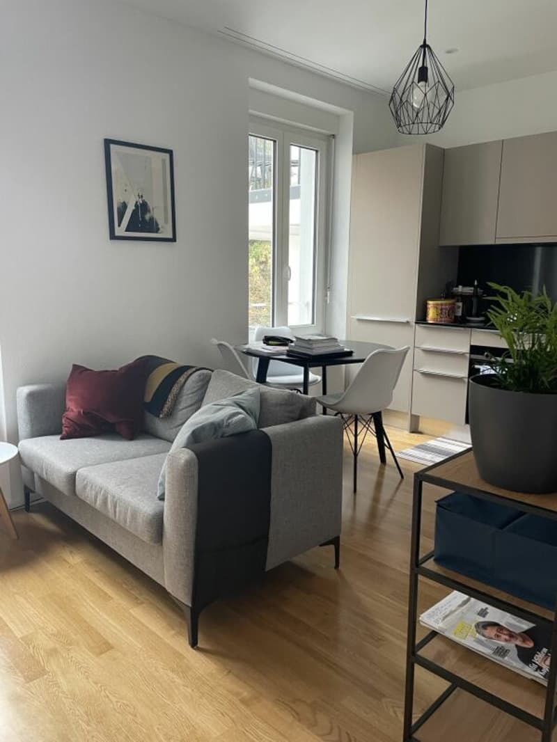 New, modern 1.5 room apartments in Basel City (3)