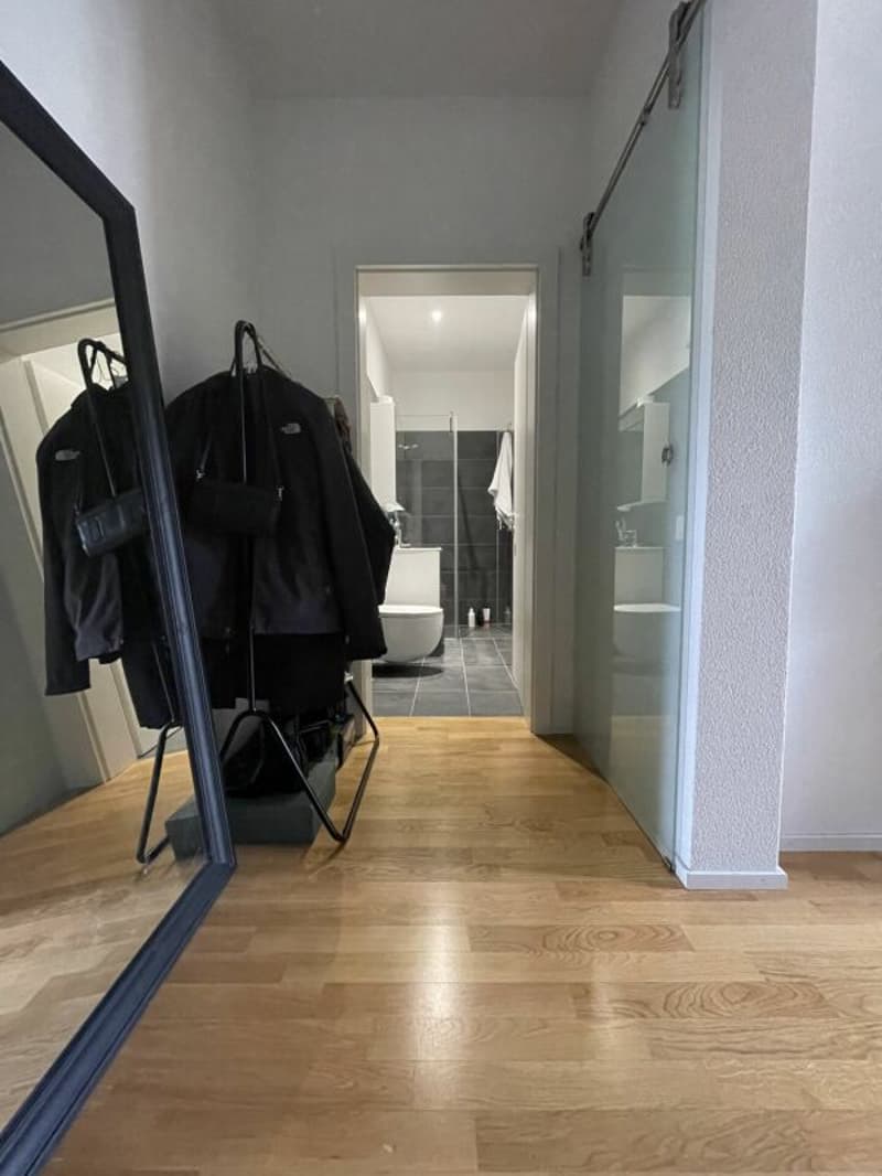 New, modern 1.5 room apartments in Basel City (5)