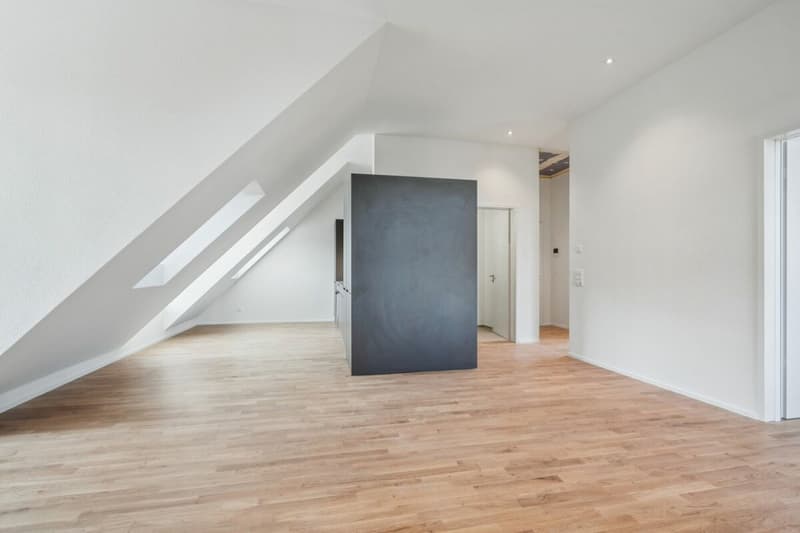 Dernière Chance : Appartement de Penthouse Exclusif avec Terrasse sur le Toit (5)