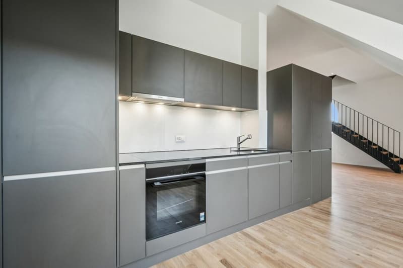 Dernière Chance : Appartement de Penthouse Exclusif avec Terrasse sur le Toit (4)