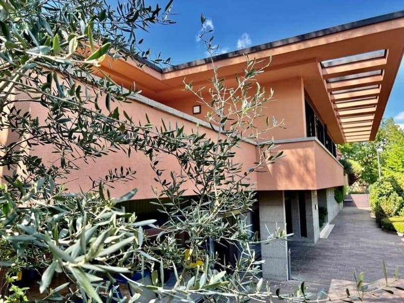 Elegante Villa di Prestigio Immersa nel Verde a Due Passi dalla TASIS (5)