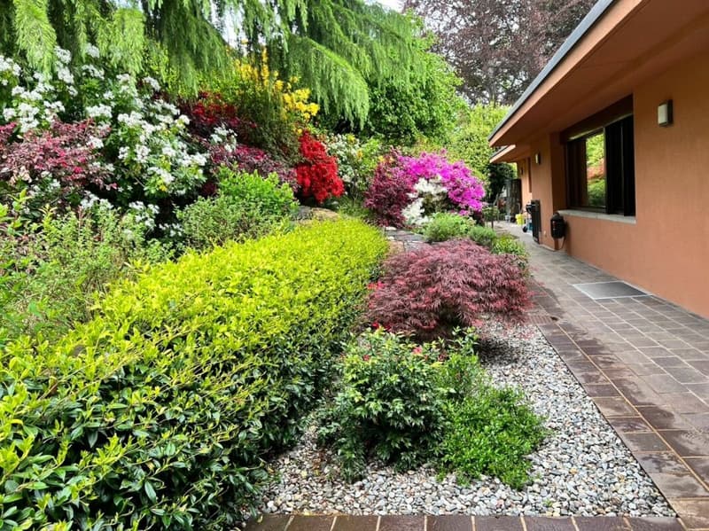 Elegante Villa di Prestigio Immersa nel Verde a Due Passi dalla TASIS (4)