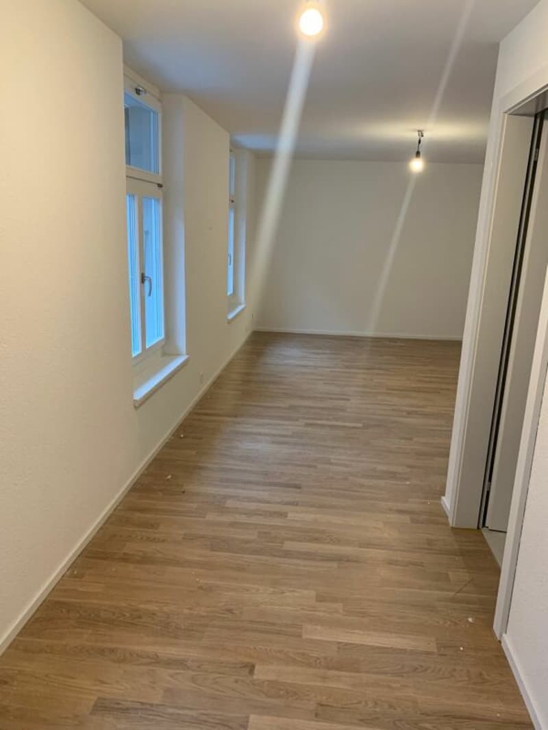Charmantes 1.5-Zimmer-Studio (4)