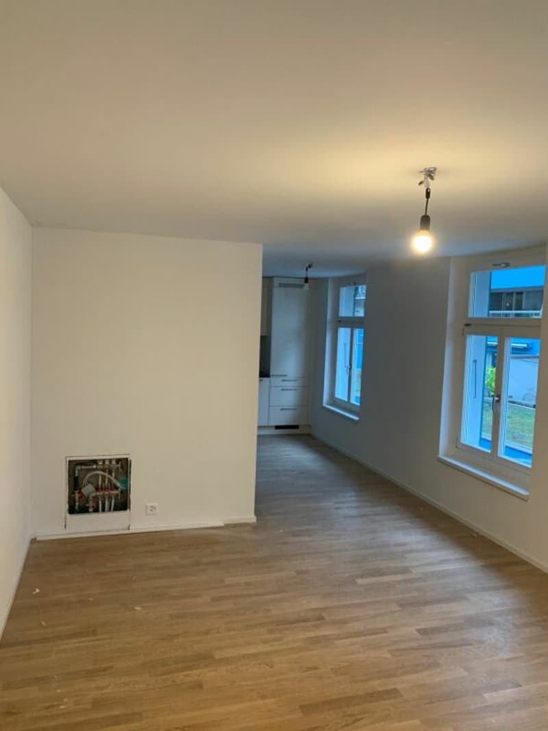 Charmantes 1.5-Zimmer-Studio (2)