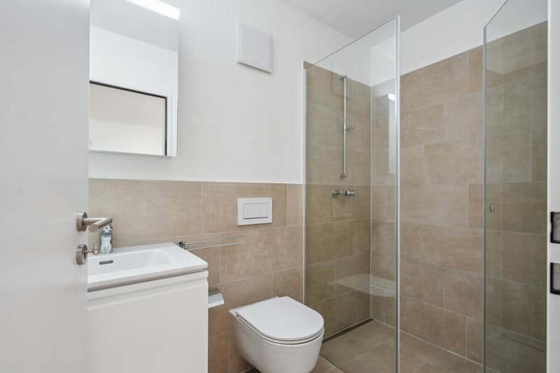 Erstbezug: Letzte 3.5-Zimmer Wohnung Kreis 2 (8)